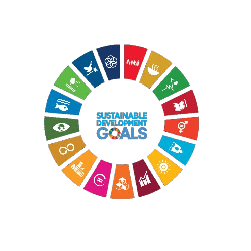 UN SDG Wheel